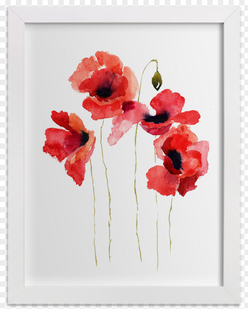 Watercolor Animals Common Poppy Painting Flower PNG