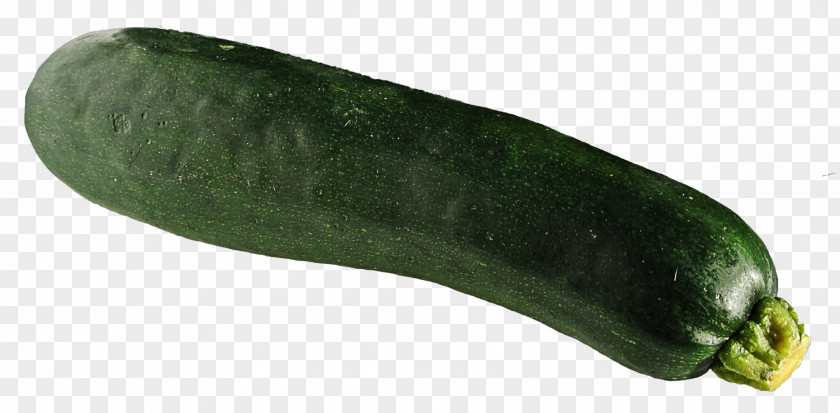 Zucchini Cucumber PNG