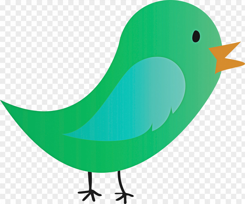 Bird Beak Green European Robin Songbird PNG