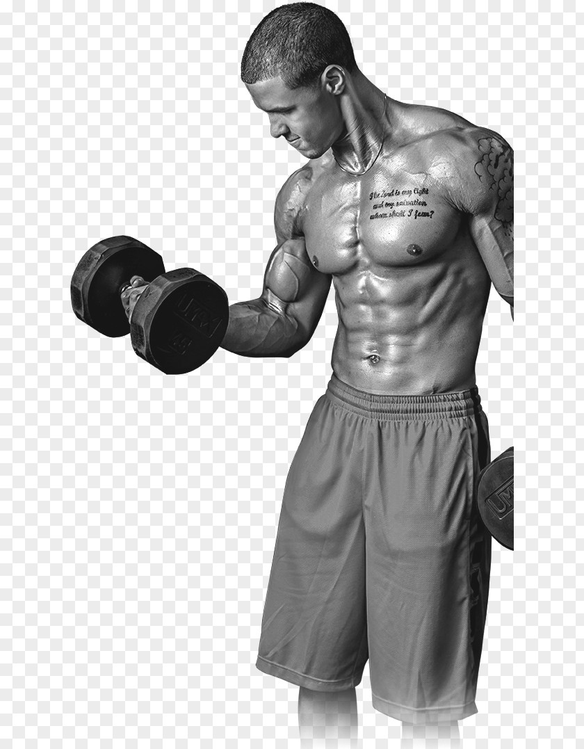 Bodybuilding Weight Training Physical Fitness Barbell Exercise Equipment PNG