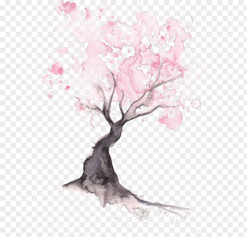 Cherry Tree Paper Blossom Watercolor Painting Drawing PNG
