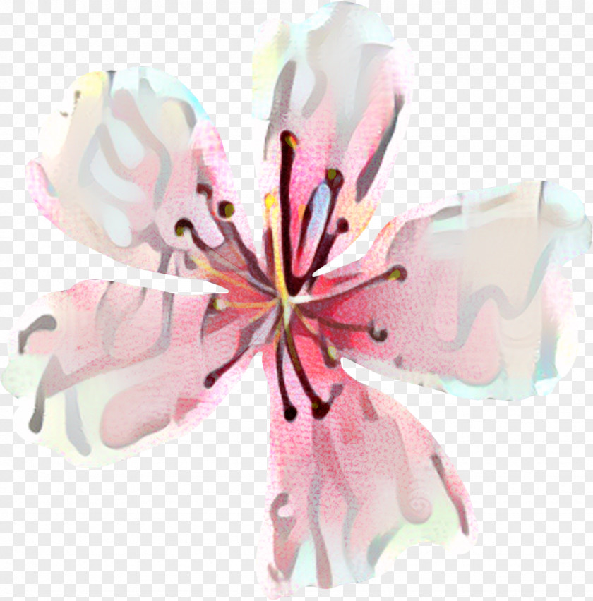 Geranium Magnolia Lily Flower Cartoon PNG