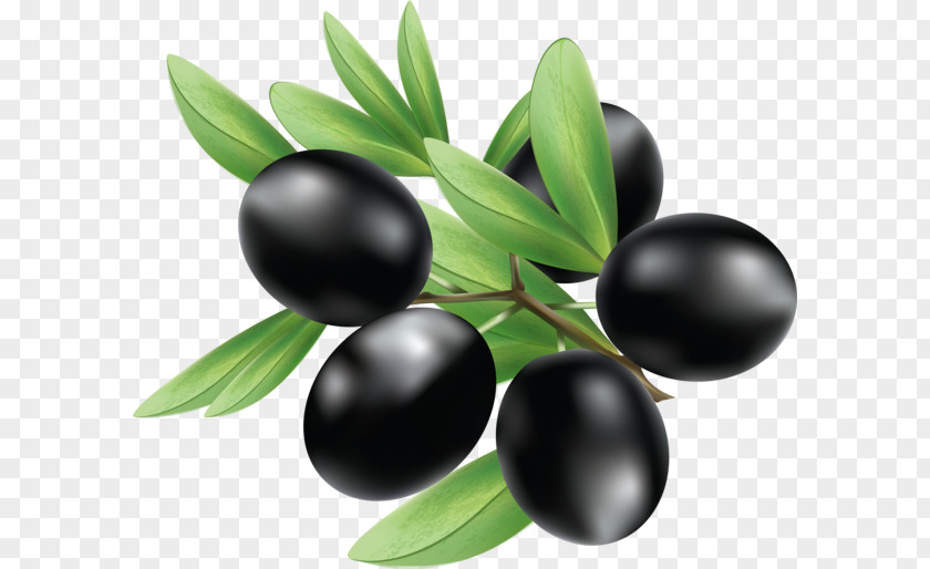 Olive PNG