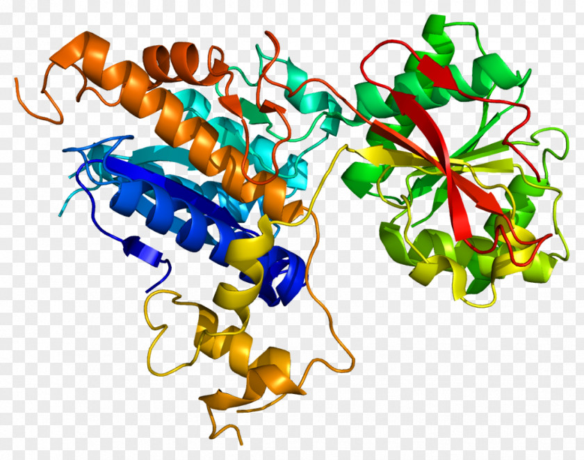 Metabotropic Glutamate Receptor 7 PNG