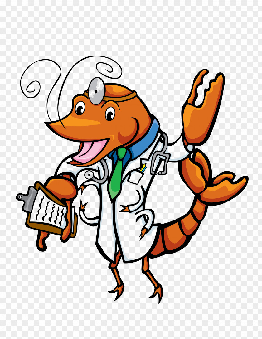 Spicy Crayfish Physician Clip Art PNG