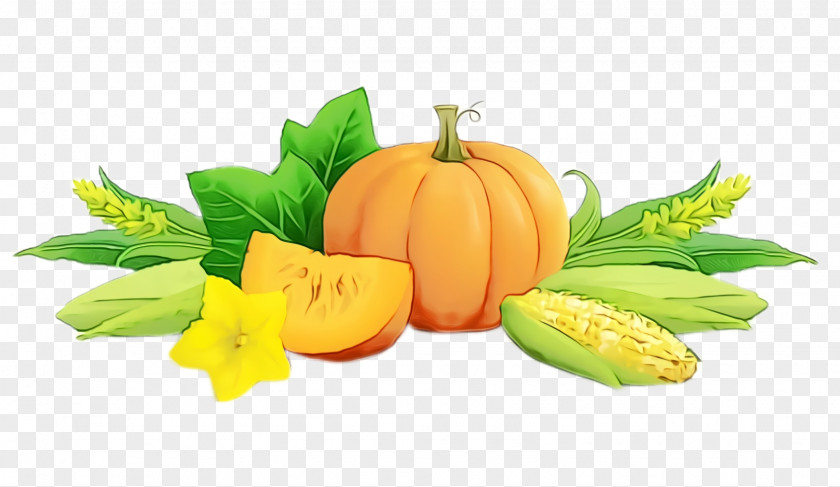 Summer Squash Calabaza Pumpkin PNG