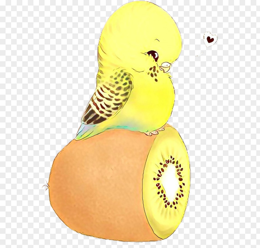 Yellow Bird Budgie Parakeet Kiwifruit PNG