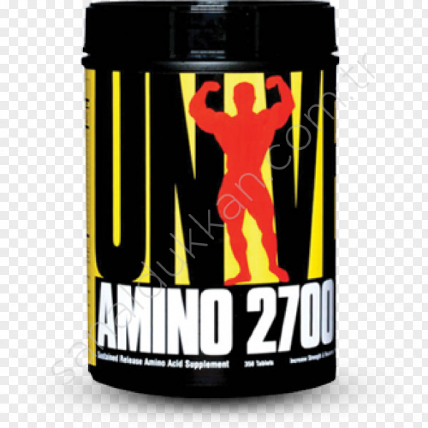 Amino Acid Protein Dietary Supplement Creatine PNG