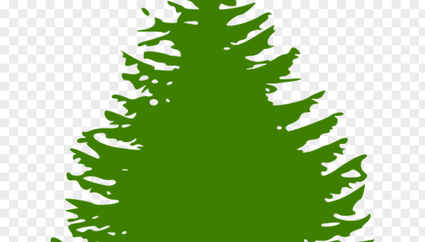 Bellflower Graphic Clip Art Christmas Pine Free Content Tree PNG