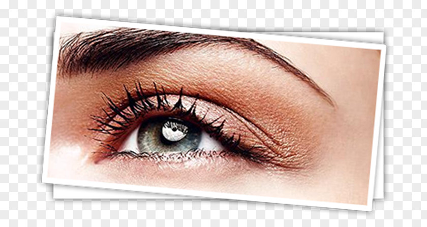 Eyelash Extension Beauty Parlour Solisa Tanning & Lashes Eyebrow Threading PNG