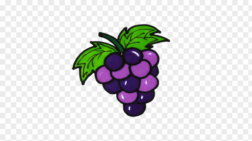 Grape Clip Art PNG