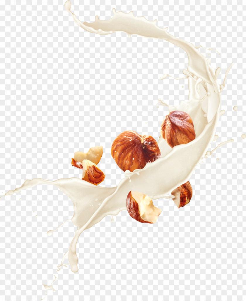 Hazelnut Almond Milk Latte Food PNG