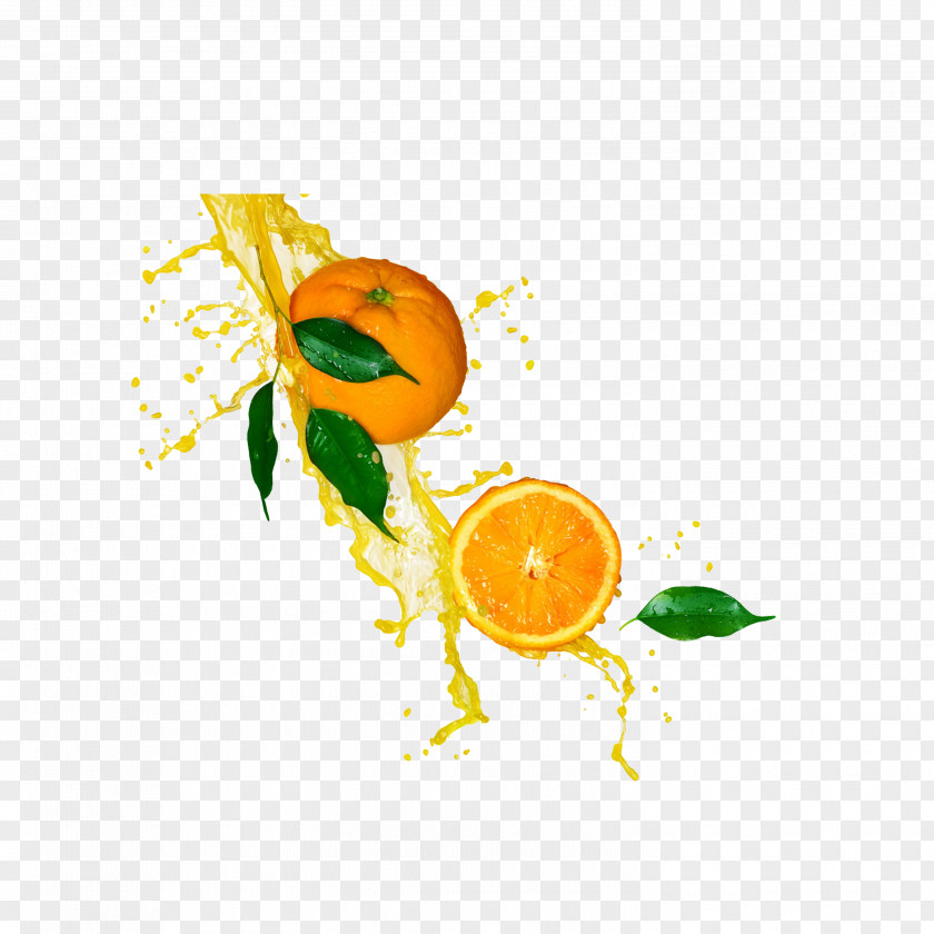 Orange Juice Lemonade Stock Photography PNG