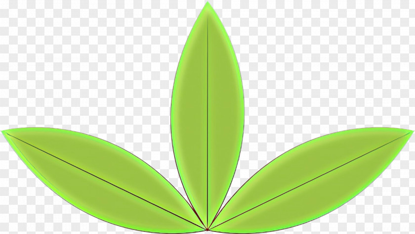 Perennial Plant Logo Green Leaf PNG
