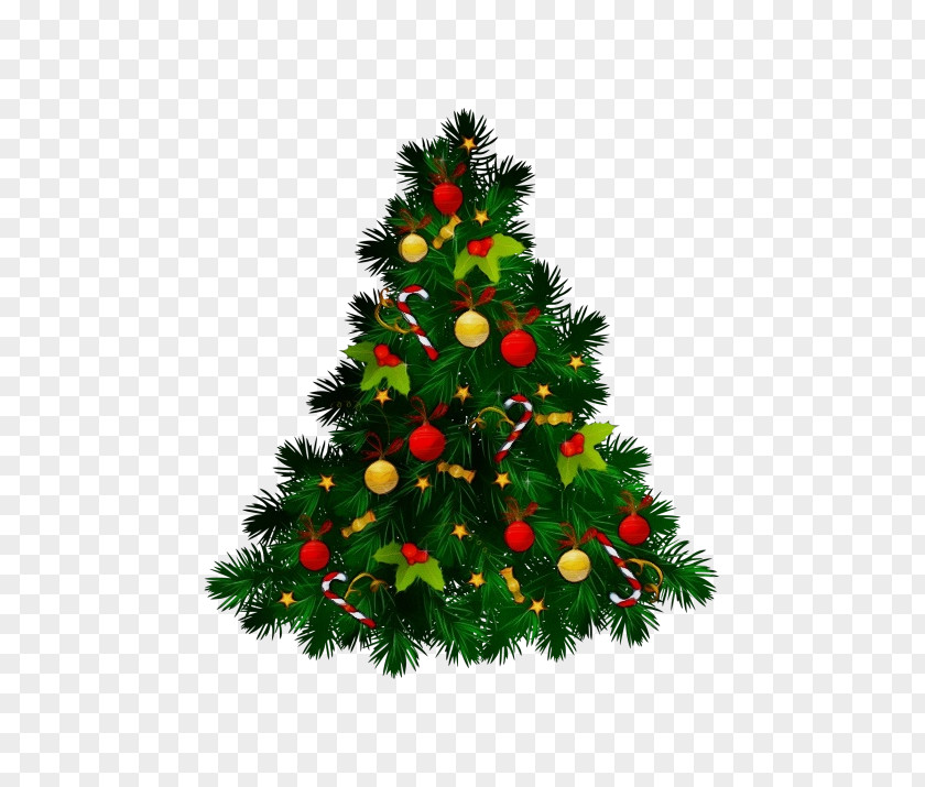 Pine Holiday Ornament Christmas Tree PNG