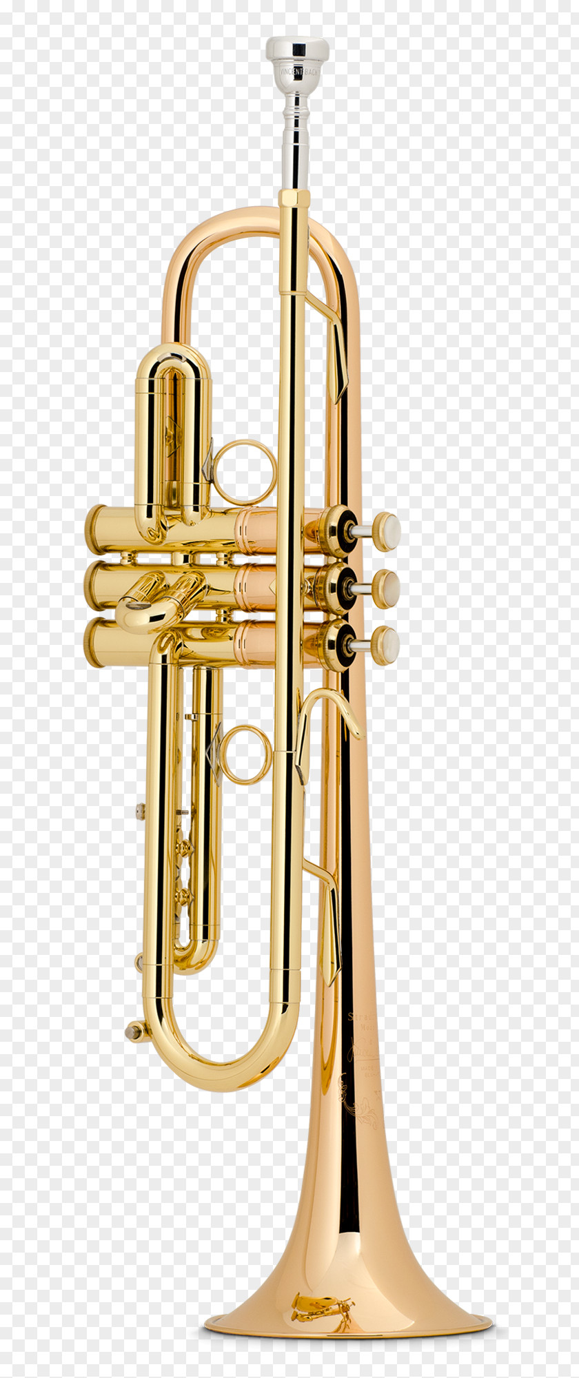 Vincent Bach Corporation Trumpet Music C.G. Conn Bore PNG Bore, clipart PNG