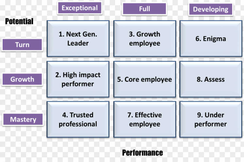 Vocational Skills Template Performance Management Talent Organization PNG