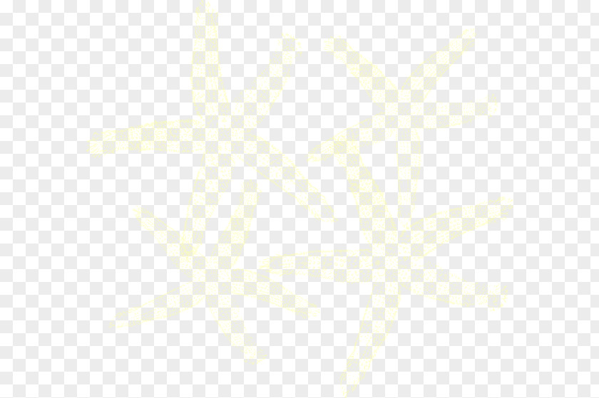 Yellow Starfish Clipart Diskothek Text Petal Angle Pattern PNG