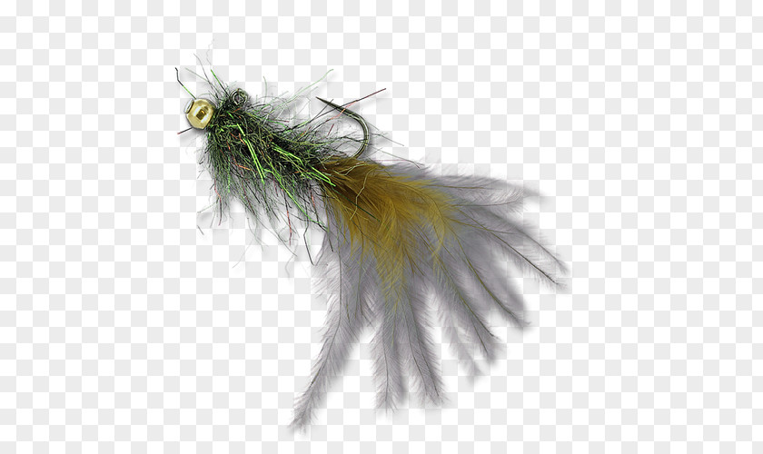 Bedale Leech House Bead Feather The Fly Shop Brown PNG