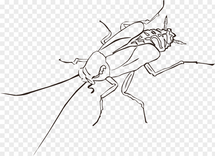 Cockroach Insect Wing Pest Clip Art PNG