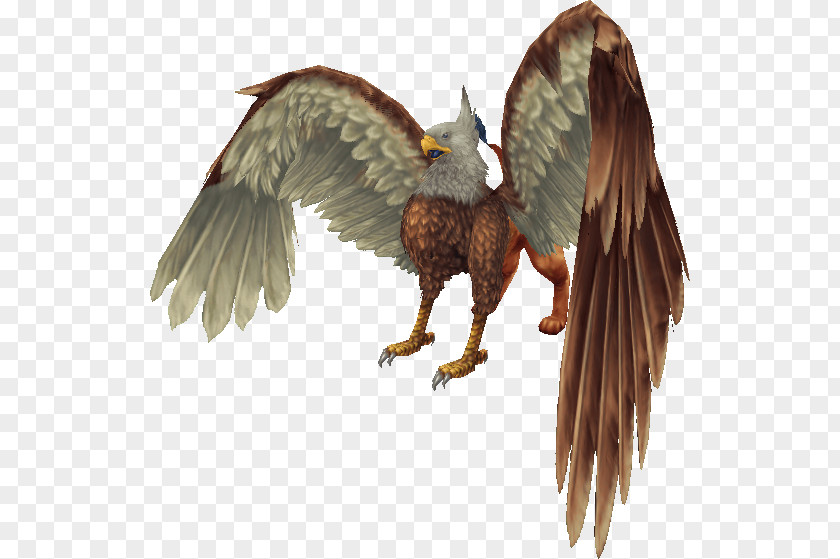 Griffin Free Download IPhone 7 8 Peter Amazon.com Technology PNG