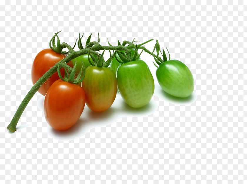 Cherry Tomatoes Tomato Vegetable Fruit Grape Plum PNG