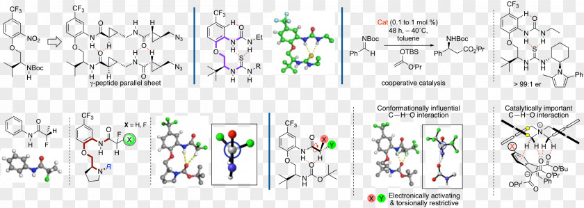 Counterion Enantioselective Synthesis Organic Chemistry Catalysis Chemical PNG