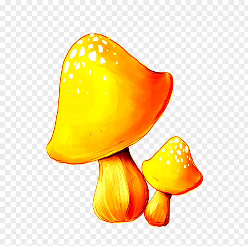 Creative Cartoon Mushroom Clip Art PNG