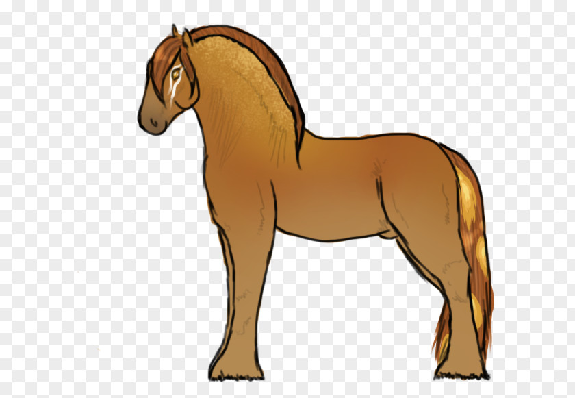 Mustang Mane Foal Stallion Mare PNG