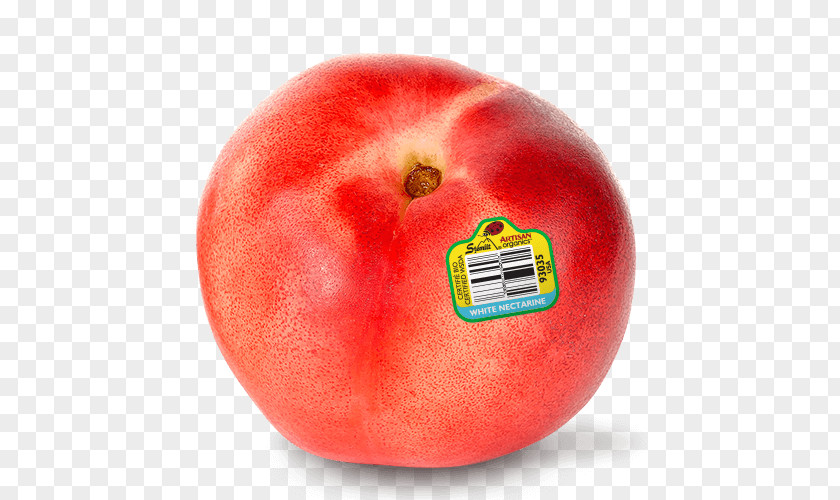 White Summer Berries Peach Nectarine Armenian Plum Fruit Sangria PNG