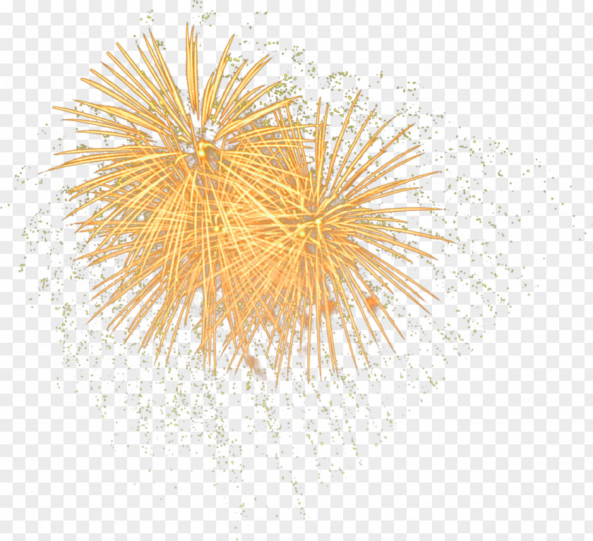 Autumn Fireworks Pyrotechnics PNG