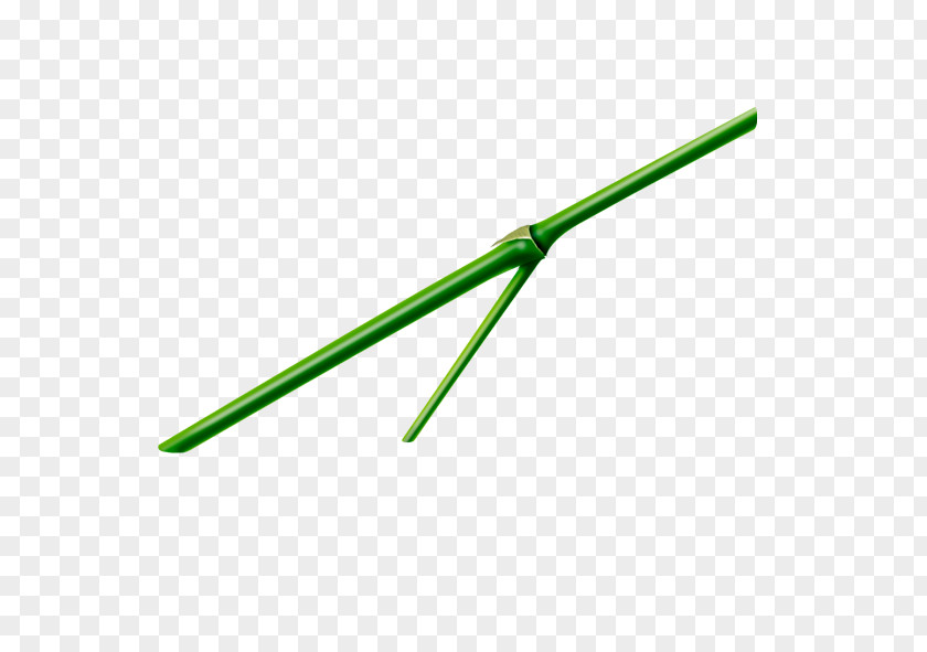 Bamboo Green Material Angle Font PNG