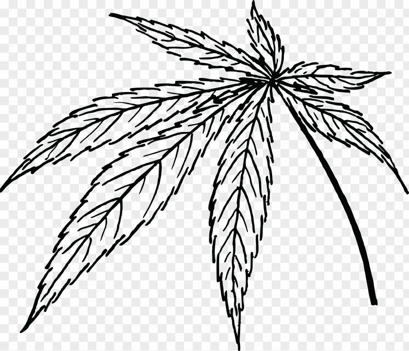 Cannabis Leaf Marijuana Sativa Clip Art PNG