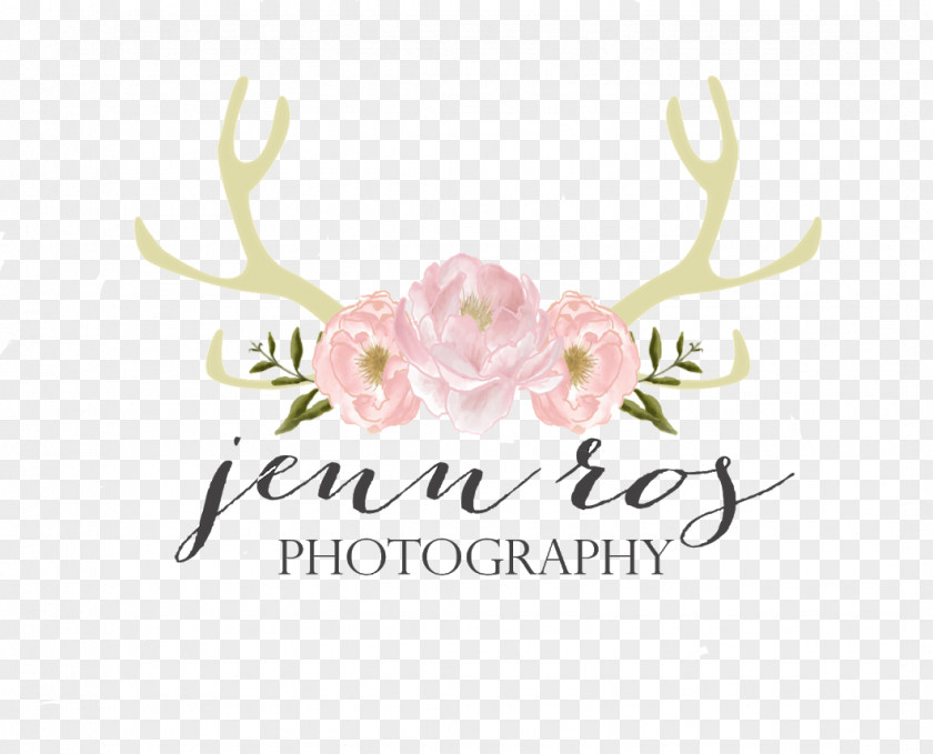 Design Floral Cut Flowers Rose Family Font PNG