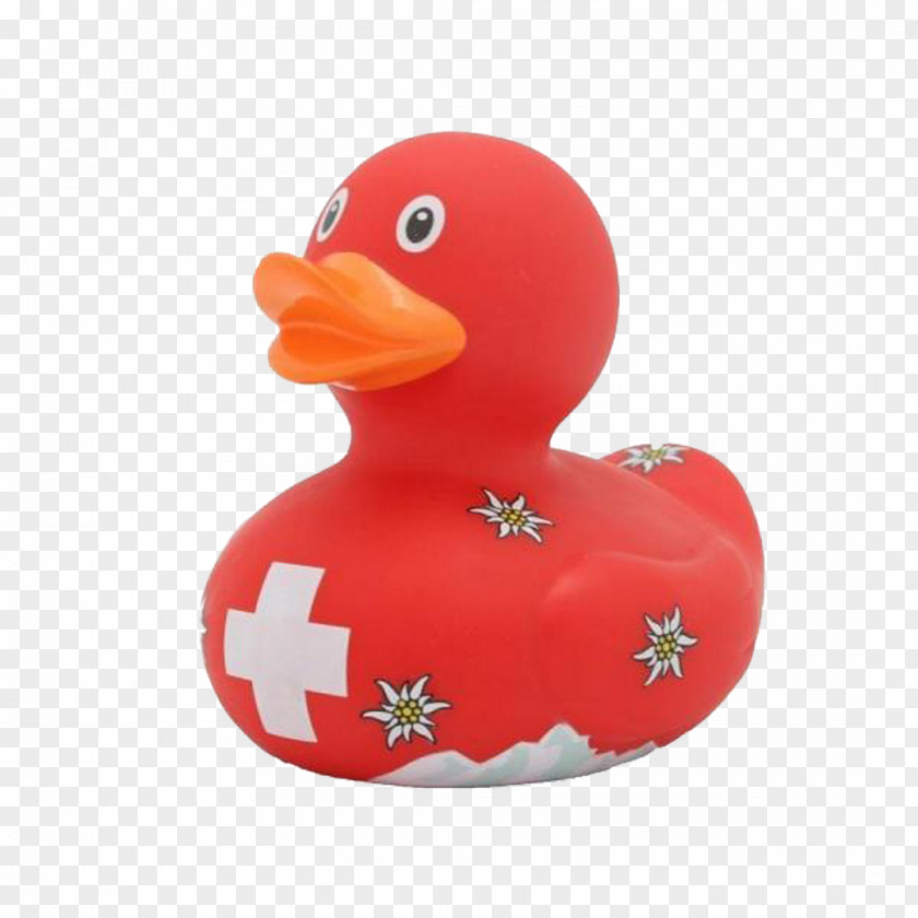 Duck Store Barcelona Switzerland Rubber Toy PNG