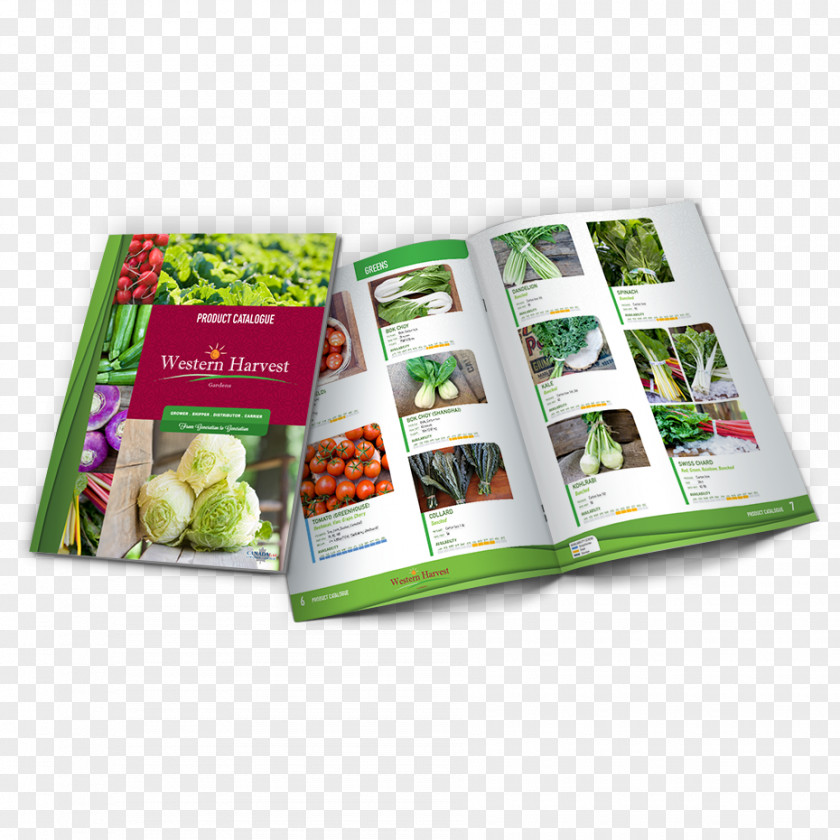 Photocopie Printing Graphic Designer Catalog Brochure PNG