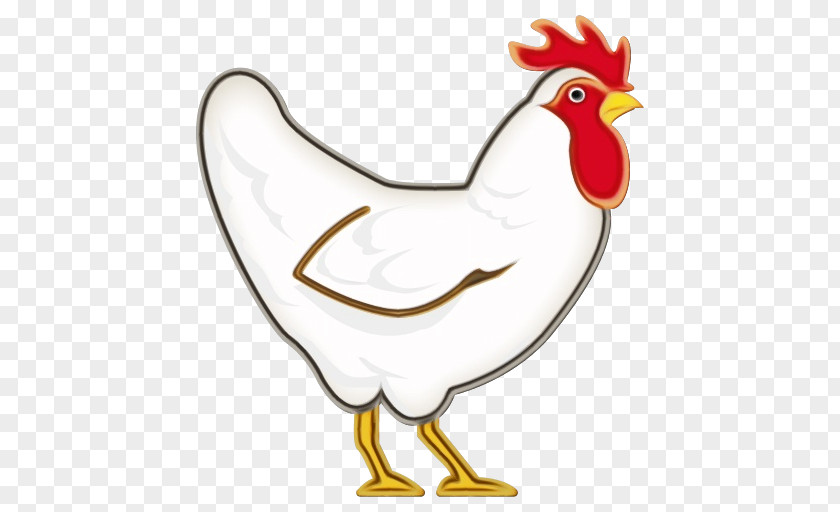 Poultry Livestock Bird Chicken Rooster Beak Clip Art PNG