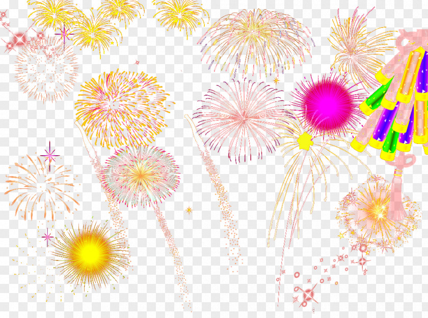 A Large Collection Of Colored Fireworks Flower Bouquet Firecracker Chrysanthemum Floral Design PNG