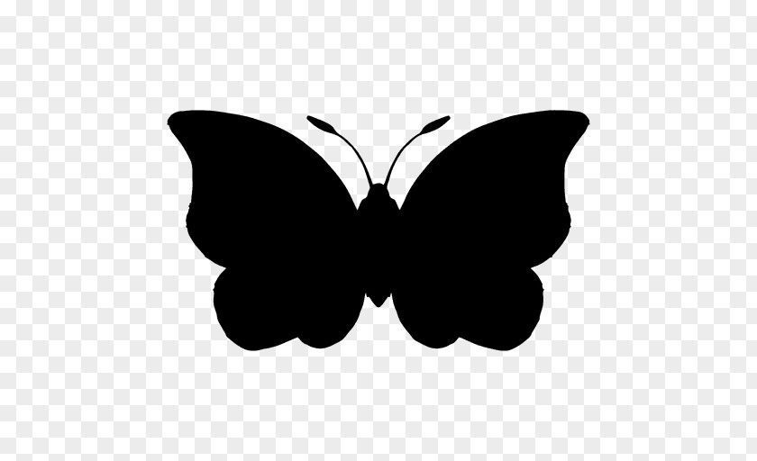 All Vector Butterfly Clip Art PNG