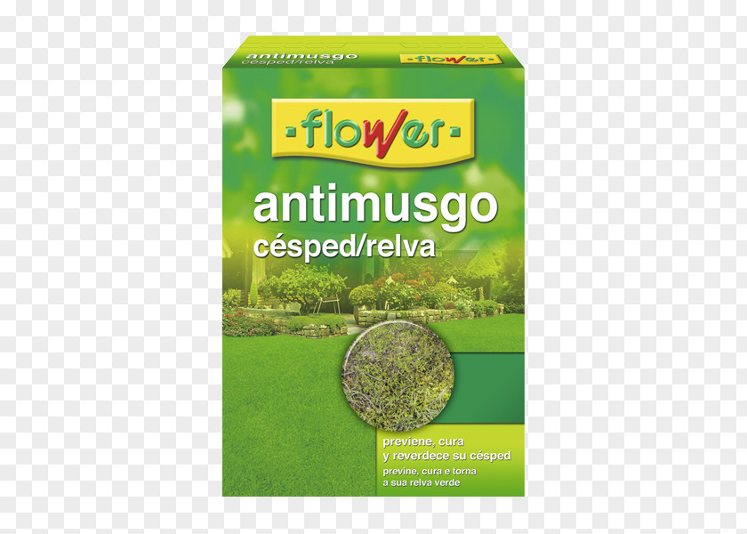 Artificial Grass Flower Anti-Moss Lawn 40508 Food Product PNG