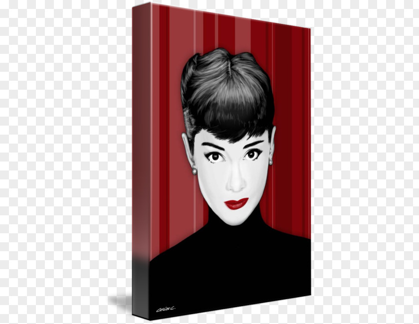 Audrey Hepburn Art Poster Canvas Print PNG