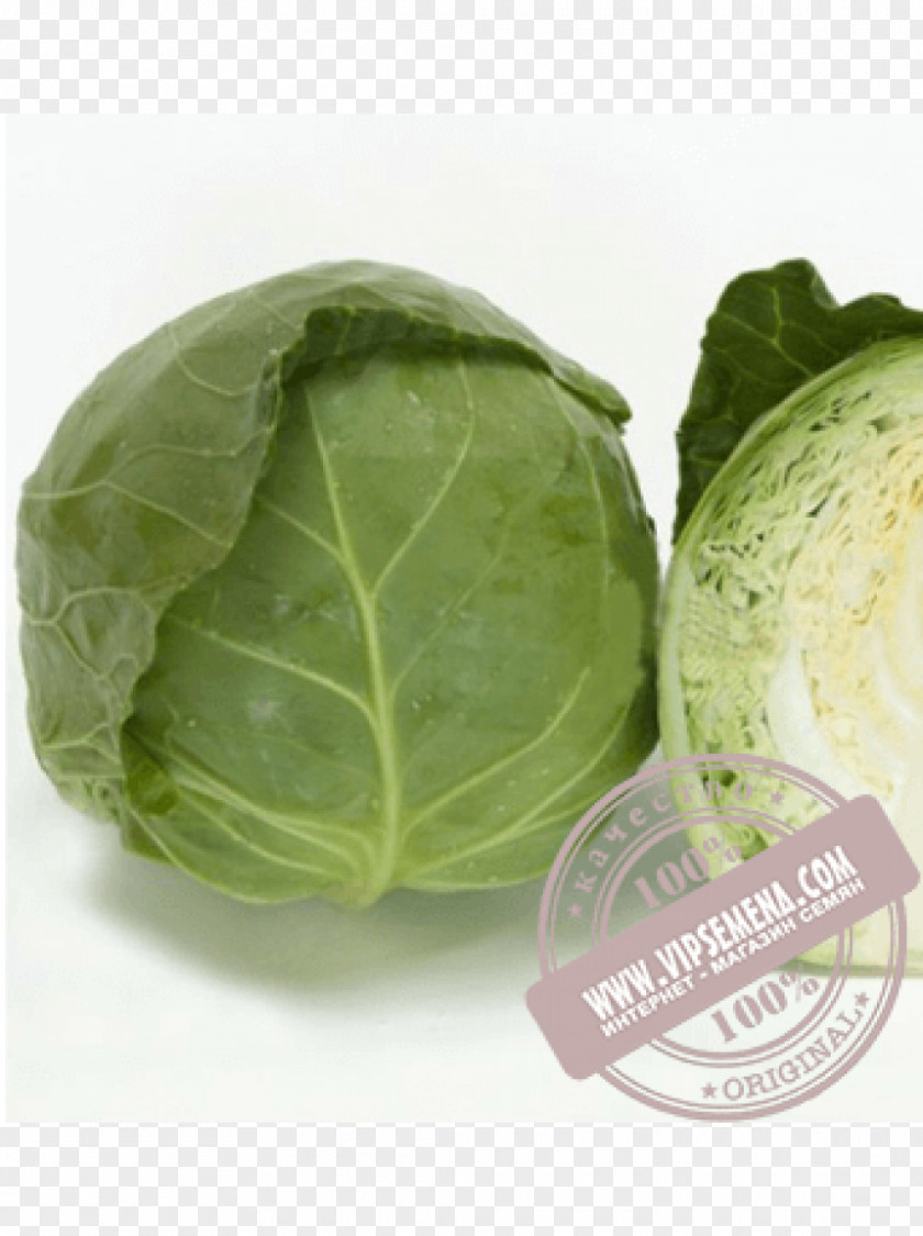 Cabbage Napa Seed Price Cultivar PNG