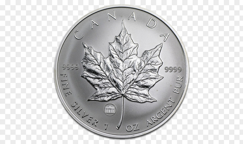 Canada Canadian Gold Maple Leaf Silver PNG