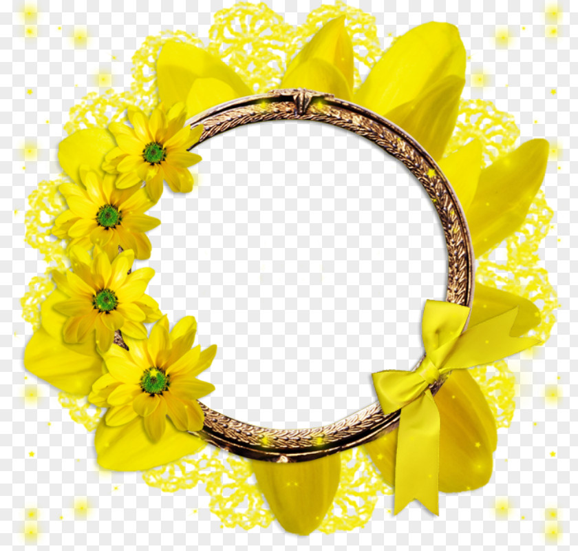 Chamomile Ring Picture Frame Photography PNG