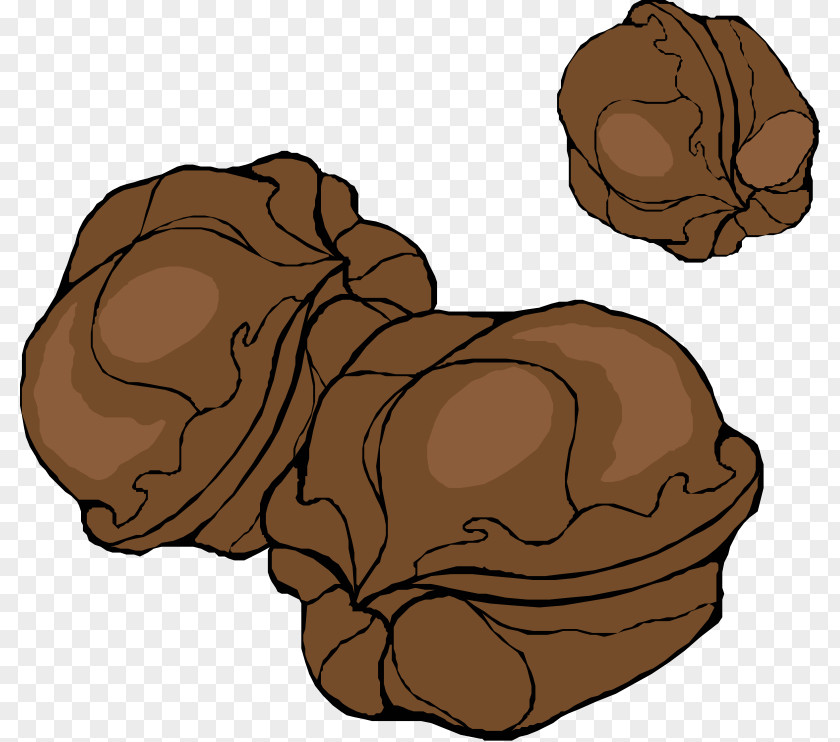 Clip On Nuts Walnut Art PNG