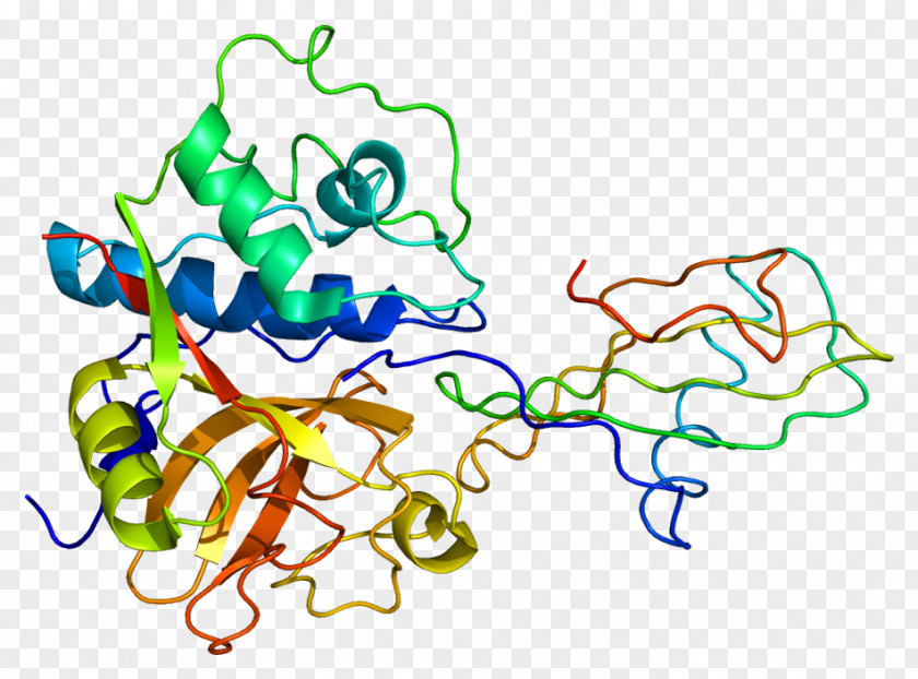 Cystatin B Cathepsin Protein Papain PNG