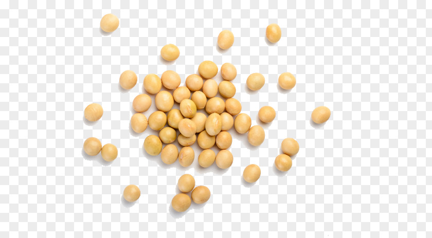 Vegetarian Cuisine Soybean Dietary Supplement Isoflavones PNG