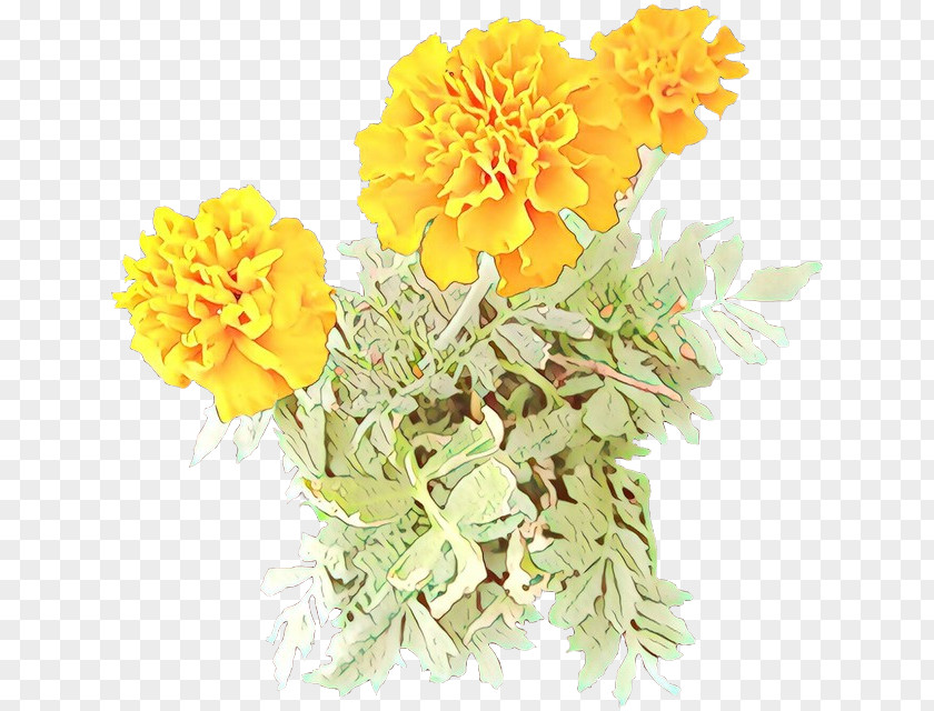 Zinnia Petal Flower Tagetes Yellow English Marigold Plant PNG