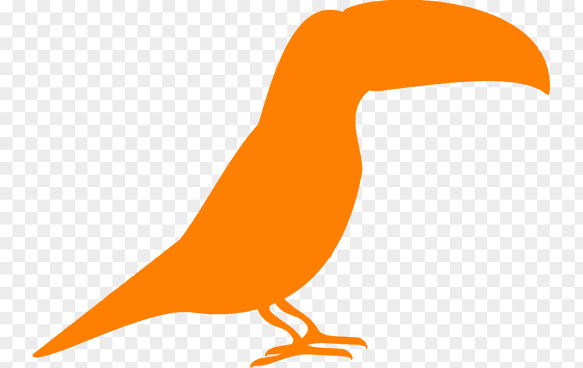 Bird Beak Toucan Orange S.A. Fare PNG