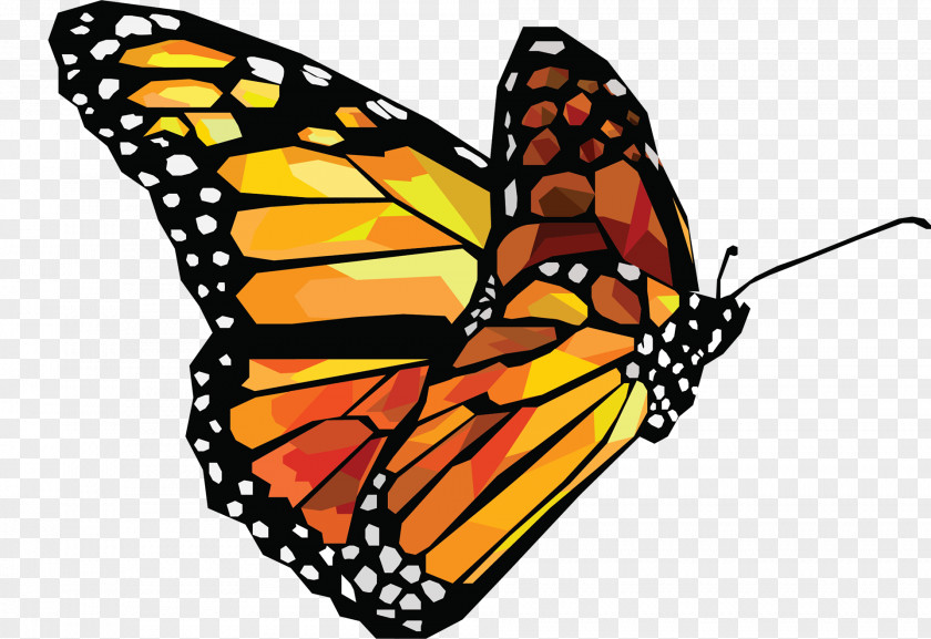 Butterfly The Monarch Insect PNG